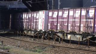 EF210 11号機 1072レ 貨物列車
