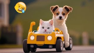 🤣🐱 Best Cats Videos 😸😍 Funniest Animals 2024 #8