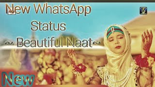 Mein Naukar Fatima Zahra Ki Latest WhatsApp Status Video2019