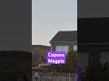 Сорока / #shorts / #tiktok
