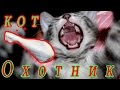 Котенок охотится на Куриную Ножку!