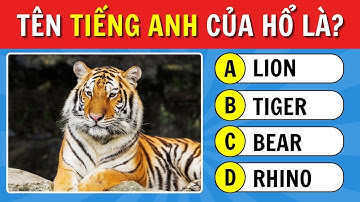 Thử Đoán Tên Động Vật Bằng Tiếng Anh – 40 Con Vật Phần 2 Còn Khó Hơn!