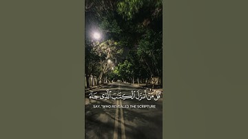 تلاوه جميله للشيخ ماهر المعيقلي ❤️                            #قرآن #قران_كريم