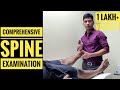 Comprehensive Spine Examination