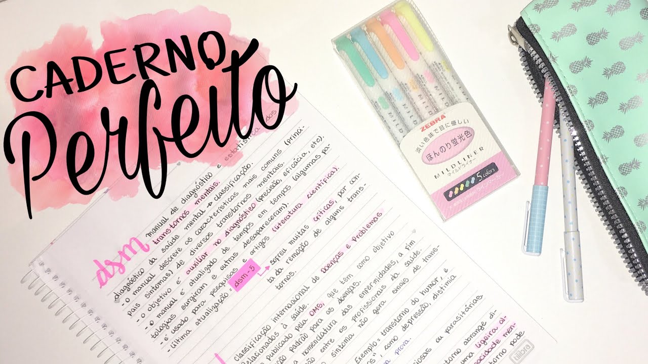 Como organizo meus cadernos | tour pelos meus cadernos