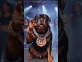 #subscribe #viral #trending #ytshorts #aishorts #rottweiler #dog #funny #cute #hiphop #clips
