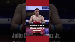 Celebrity Julio César Chávez Jr. Released Amid Cartel Allegations Net Worth