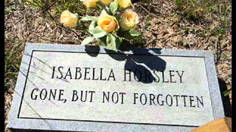 African American slave descendants of the Cabell f...