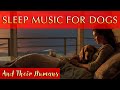 Soothing Sleep Music for Dogs and Humans 🐾 Black Screen