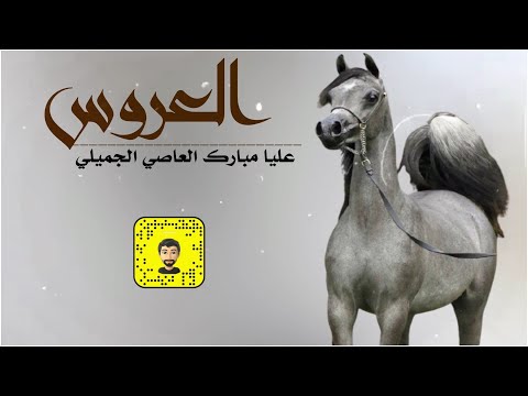 شيلة عليا مبارك العاصي الجميلي سعد محسن حصريا 2025