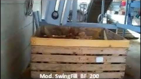 Γραμμή Συσκευασίας Πατάτας - Potatoes Packing Line in Bins_Novatec