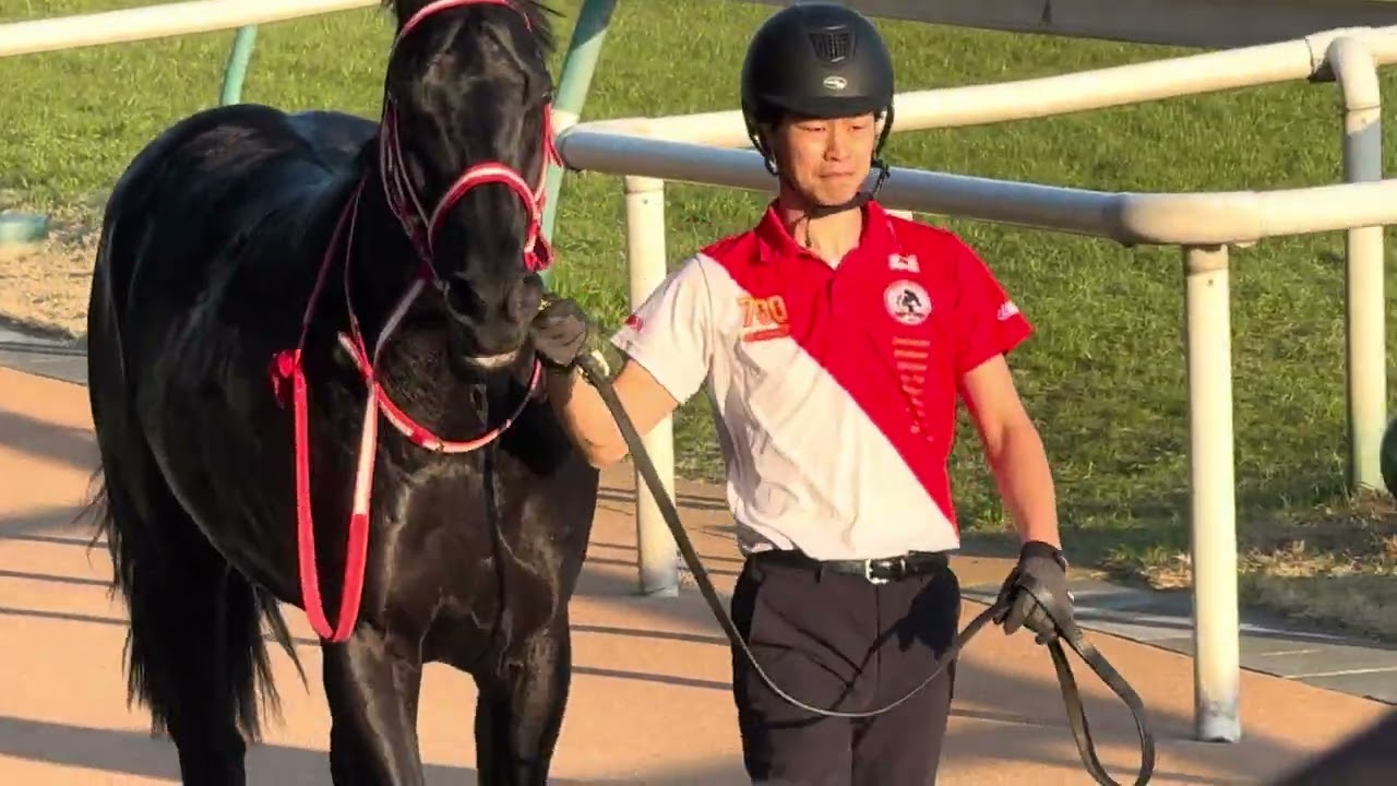 アスクアイルビゼア、口取り撮影の様子