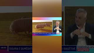 Lamaj: Ka nje përhapje të shpejtë të murtajës së bagëtive të imta,masat duhet të jenë të vazhdueshme