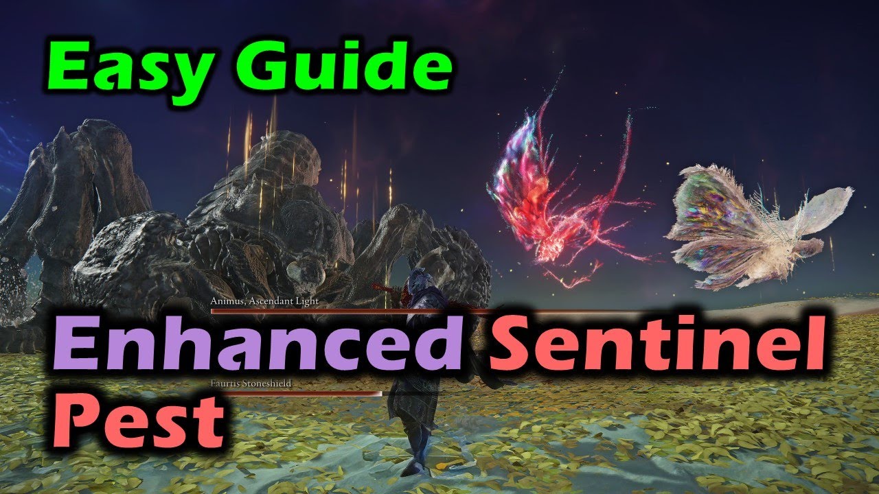 Enhanced Sentinel Pest - Easy Guide - Elden Ring Nightreign - YouTube