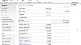 Accounting Reports - About the financial statements- Ecount ERP