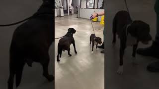 A1758566 Joice & A1759031Temp Test 2