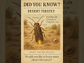#DesertFirefly #Firefly #InsectFacts #BugWorld #Wildlife
