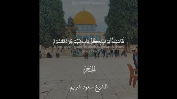 ان المتقين في جنـٰت وعيون#القرآن_الكريم #quran #تجويد #سعود_الشريم #راحة_نفسية #تلاوات #آيات #قرآن