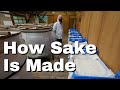 Learning How Sake is Made at Nabedana Brewery in Chiba Japan