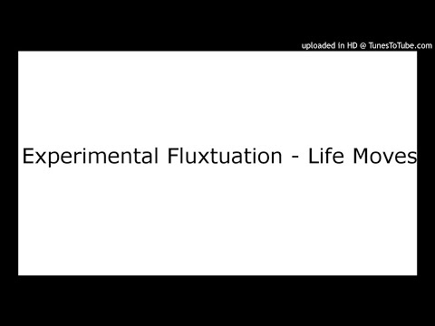 Experimental Fluxtuation — Experimental Fluxtuation - Life Moves