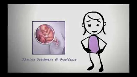 Quanto pesa un feto alla 22 settimana?