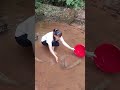 Big Fish Catch in Mud Water 🐠 | Traditional Fishing