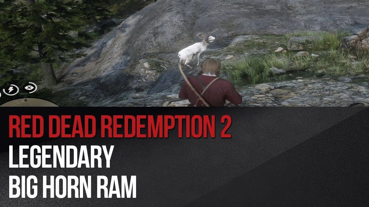 Red Dead Redemption 2 Legendary Big Horn Ram YouTube