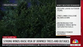 Strong winds raise risk of downed trees and outages