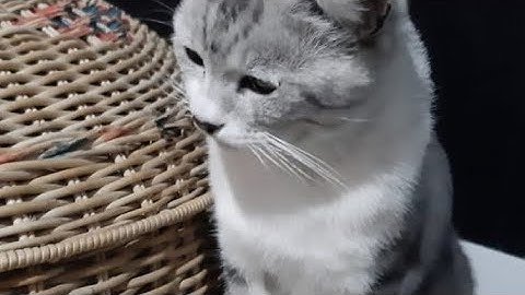 Rancang bangun keamanan jaringan, instalasi dan konfigurasi Dynamic Routing