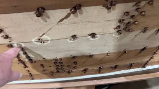 Update on 1962 Century Resorter carrier deck - refastening and strip and refinish progress