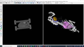 Cropping - Imalytics Preclinical Tutorial