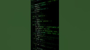 Who was the first computer programmer?