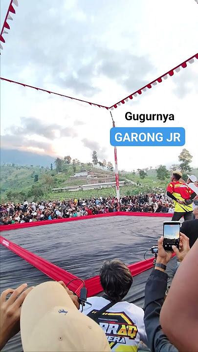 Gugurnya garong jr #kenwoodteam #merpati #merpatikolong #merpatiku