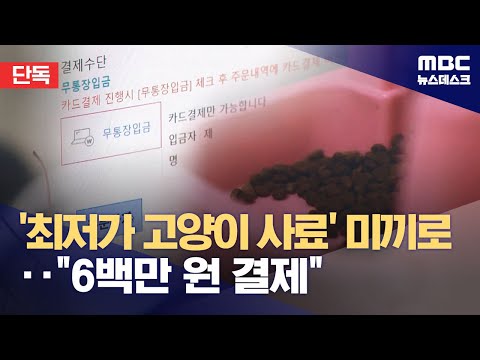 [단독] &#39;최저가 고양이 사료&#39; 미끼로 피싱 사이트 유도‥&quot;600만 원 결제&quot; (2024.04.01/뉴스데스크/MBC)