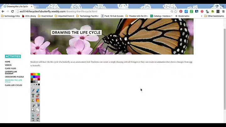 Life Cycle of a Butterfly
