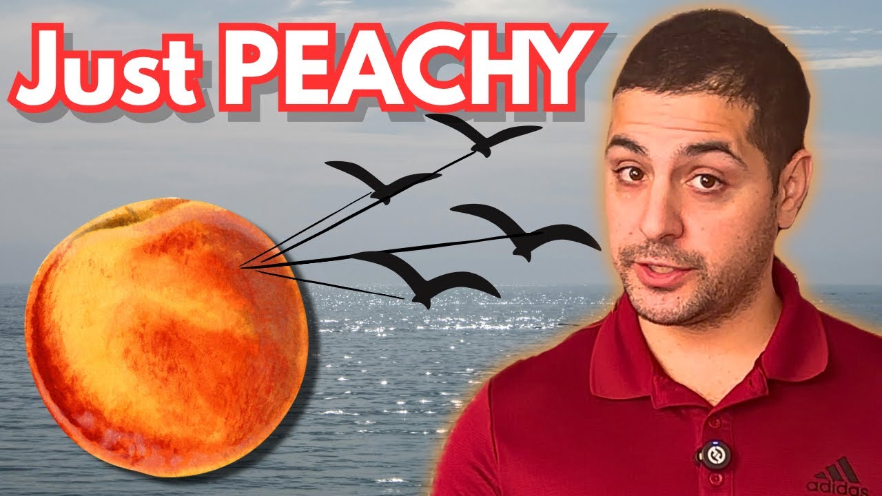 James and the Giant Peach Book Review - Fruit for Thought