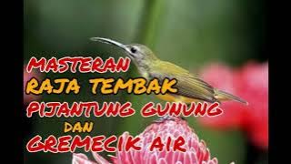 masteran pijantung gunung dan gremecik air jernih