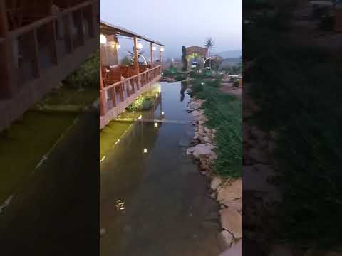 أبو حمزة الحنون من سوريا حلب المحتله 