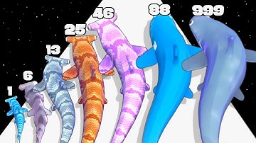 Shark Evolution 3D Run | New Level Up Satisfying Max Level Gameplay Android, iOS (Snake Run Race)