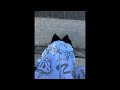 Tass Btrdmanssj3 Prod By 10soulprod Mixed By Syncr SINGLE mp3