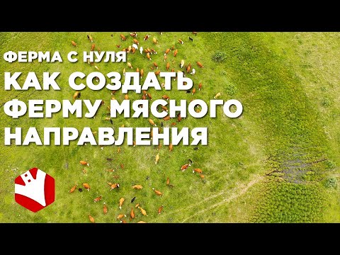 Экономика фермы | Как стать фермером с нуля | Мясное животноводство