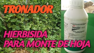 Tronador Hierbisida para el monte de hoja .Finca las Flores el Salvador. 🇸🇻