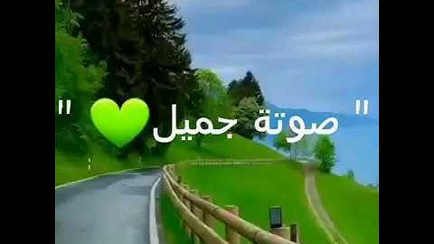 "بيدك الخير إنك على كل شيء قدير...💚" || حالات واتس اب || القارئ أحمد خضر