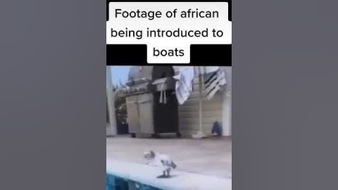 Flotation Device Tiktok Meme