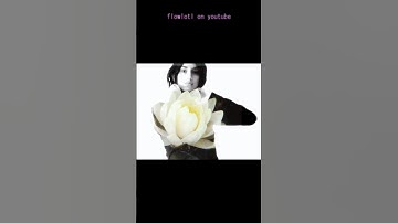 the intro for my new video with new music from @gleameworld💿💗 #cinematicvlog #vlog