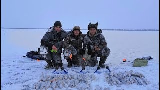 Первый лед 2019 -2020 за щукой. жерлицы стреляли весь день без остановки.