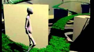 walk_bl255.avi
