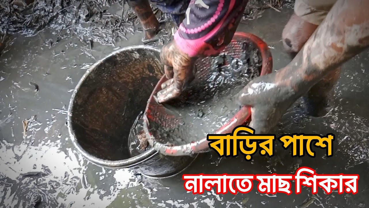 বাড়ির পাশে নালাতে মাছ শিকার Fishing in the Canal Beside the House 🎣🎣