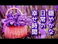 《穏やかな日常の幸せ時間》 幸福ホルモンが活性化し自律神経が整う優しいピアノ曲集、心が落ち着く ( リメイク版 )