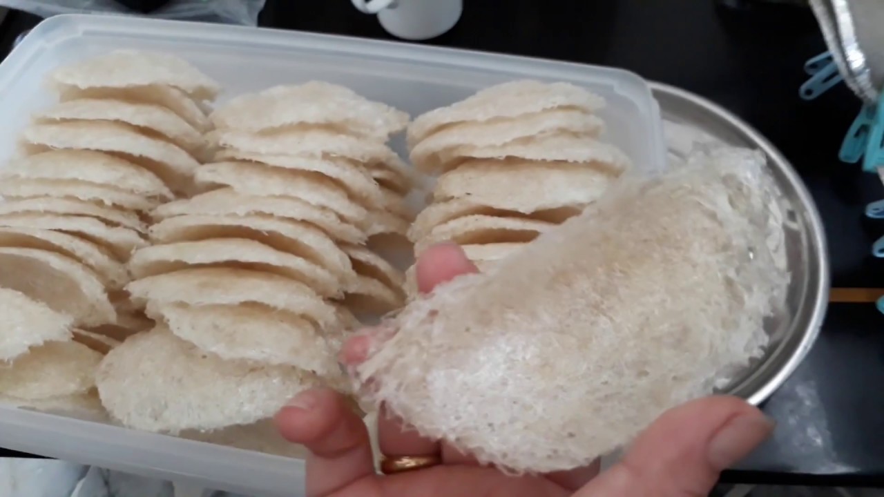 นกนางแอ่น รังนก กระบวณการทำรังนกคุณภาพพรีเมี่ยม Orients Bird‘s Nest